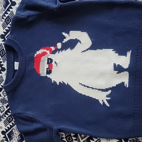 GAP Kids Little Boys Sweaters Lot of Two (2) - Picture 4 of 8